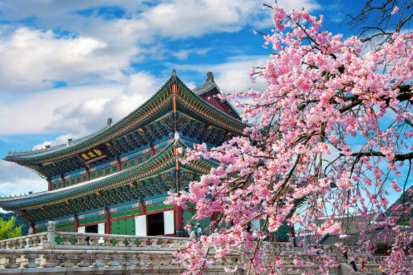 Destinasi Tour Luar Negeri Korea Selatan